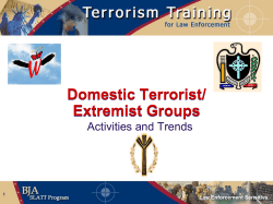 Domestic Terrorist/ Extremist Groups