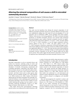 Altering the mineral composition of soil causes a shift in microbial