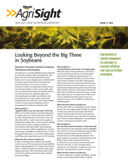 Looking Beyond the Big Three in Soybeans