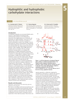 Hydrophilic and hydrophobic carbohydate interactions