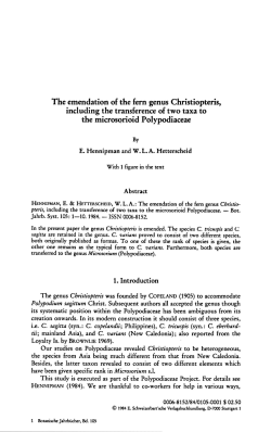 genus Christiopteris, Polypodiaceae