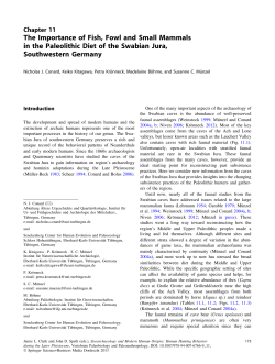 The Importance of Fish, Fowl and Small Mammals in the Paleolithic