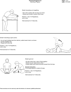 Hamstring Program