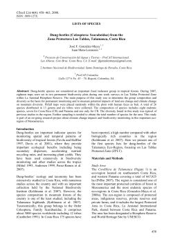 from the Zona Protectora Las Tablas, Talamanca, Costa Rica