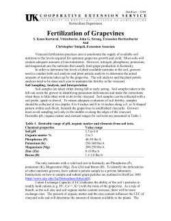 Fertilization of Grapevines