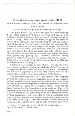 Critical notes on some plant rusts III