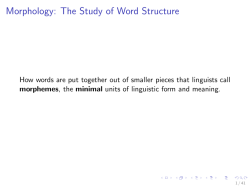 Morphology: The Study of Word Structure