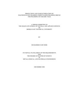 production and characterization of magnesium