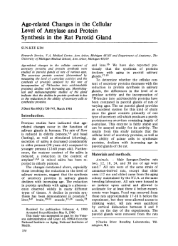 Age-related Changes in the Cellular Level of Amylase and Protein