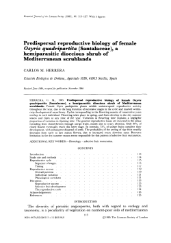 Predispersal reproductive biology of female Osyris quadripartita