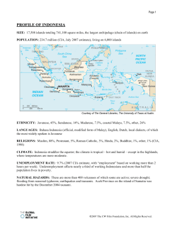 profile of indonesia - The Global Film Initiative