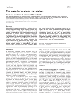 The case for nuclear translation