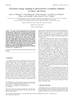 Excitation energy trapping in photosystem I complexes depleted in