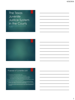 The Texas Juvenile Justice System in the Courts