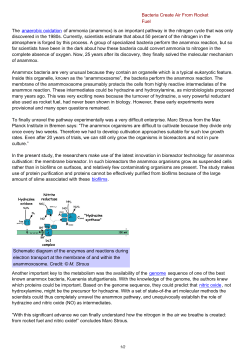 Bacteria Create Air From Rocket Fuel The anaerobic oxidation of