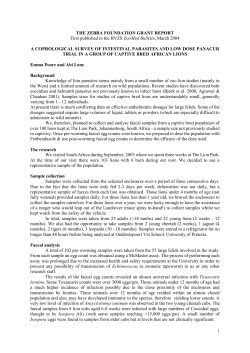 THE ZEBRA FOUNDATION GRANT REPORT First published in the