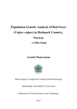 Genotyping of Red Foxes 31052013 final version