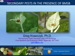How to Manage Secondary, Non-Fruit Feeding Pests if Biocontrol Fails