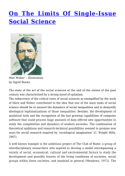 On The Limits Of Single-Issue Social Science