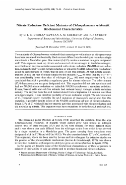 Nitrate Reductase Deficient Mutants of