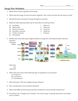 Energy Flow Worksheet