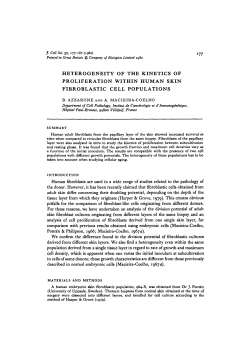 heterogeneity of the kinetics of proliferation within human skin