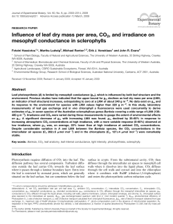 Influence of leaf dry mass per area, CO2, and