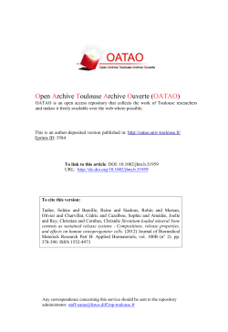 PDF ( Author`s version)