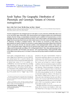 Scrub Typhus: The Geographic Distribution of Phenotypic and