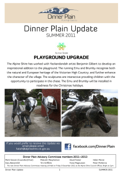 DP newsletter Summer 2011
