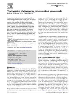 The impact of photoreceptor noise on retinal gain controls