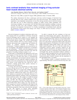 Ionic contrast terahertz time resolved imaging of frog auricular heart