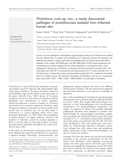 Prototheca cutis sp. nov., a newly discovered pathogen of