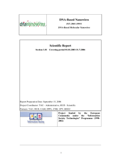 DNA-Based Nanowires Scientific Report