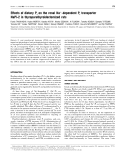 Effects of dietary Pi on the renal Na+