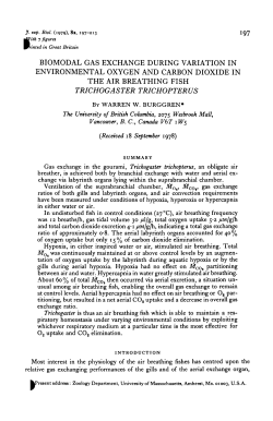 19_Burggren_JEB_Bimodal gas exchange