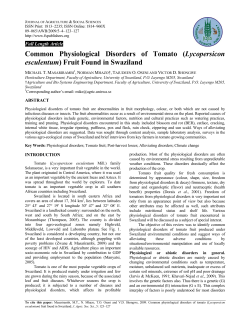 Common Physiological Disorders of Tomato
