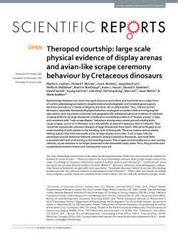Theropod courtship: large scale physical evidence of