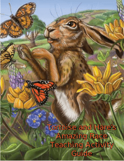 Teaching Activities - Arbordale Publishing
