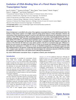 Article Evolution of DNA-Binding Sites of a Floral Master Regulatory