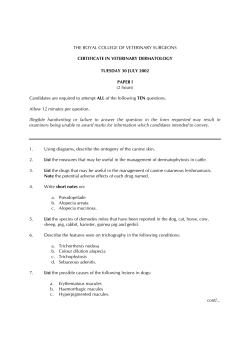 Certificate past papers CertVD