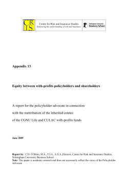 Appendix 13 Equity between with
