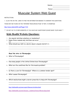 Muscular System Web Quest