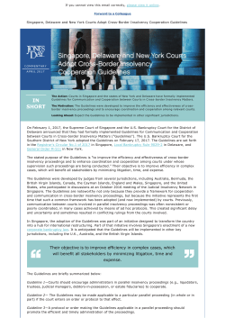 Cross-Border Bankruptcy Guidelines External Final