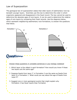 Law of Superposition