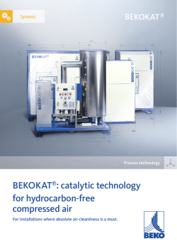 BEKOKAT®: catalytic technology for hydrocarbon