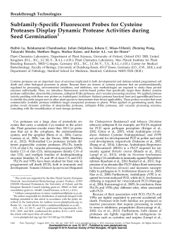 Subfamily-Speciic Fluorescent Probes for Cysteine Proteases