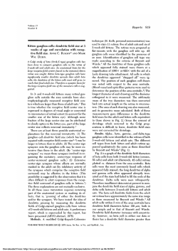 Kitten ganglion cells: dendritic field size at 3 weeks of age
