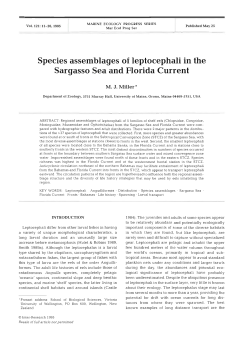 Full text in pdf format