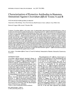 Characterisation of Protective Antibodies in Hamsters